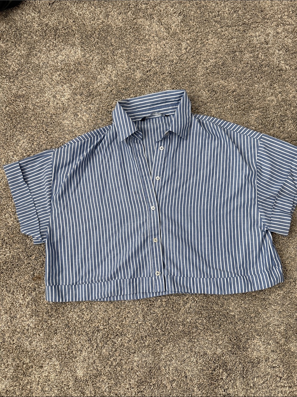 Zara Blue & White Striped Button-Up Crop Shirt